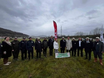 Bafra’da “Küllerinden Doğan Ormanlar” etkinliği
