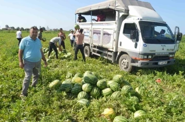 Bafra karpuzunda sona doğru
