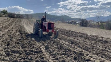 Baharın müjdecisi çiğdemler çiçek açtı, 12 bin yıllık siyez toprakla buluşturuldu
