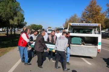 Bahçesine gitmek isterken otomobilin çarpmasıyla can verdi
