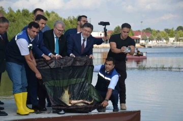 Bakan Yumaklı, Pelitözü Göleti’ne 200 adet sazan balığı salımı gerçekleştirdi
