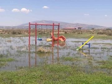 Bakımsız kalan kanallar merayı bataklığa çevirdi
