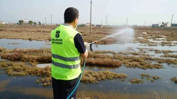 Balıkesir Büyükşehir larvaları tespit ederek anında müdahale ediyor
