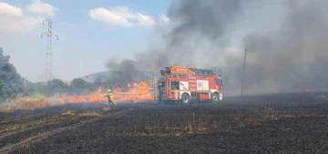 Balıkesir’de 75 dönüm buğday tarlası yandı