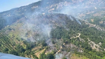 Balıkesir’de orman yangını
