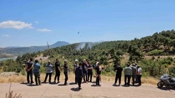 Balıkesir’de orman yangını kontrol altına alındı