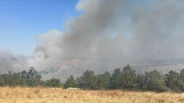 Balıkesir'de çıkan arazi yangınına müdahale ediliyor