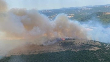 Balıkesir'in Altıeylül ilçesinde orman yangını çıktı