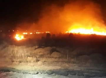 Bandırma’da park halindeki araçta çıkan yangın ormanlık alana sıçradı