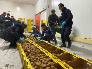 Bartın’dan deprem bölgesine 87 ton kivi gönderildi
