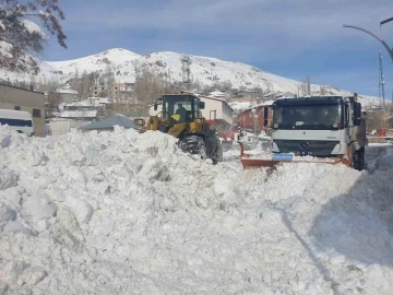 Başkale’de kamyonlarla kar taşınıyor
