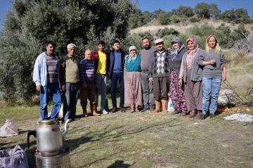 Başkan Özcan zeytin hasadına katıldı, üreticilerle bir araya geldi
