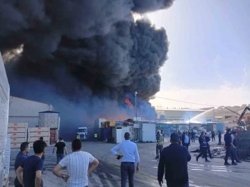 Başkentteki sanayi sitesinde çıkan yangına müdahale sürüyor
