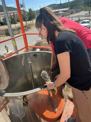 Bayburt’ta lavanta yağı seri üretim çalışmalarına başlandı
