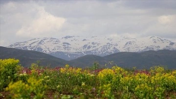 Bayburt'ta yüksek kesimler beyaza büründü