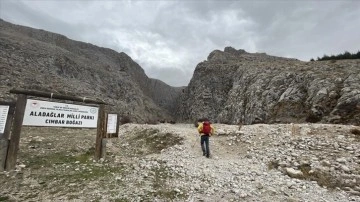 Beden eğitimi öğretmeni 30 yıldır dağlarda zirve yapıyor