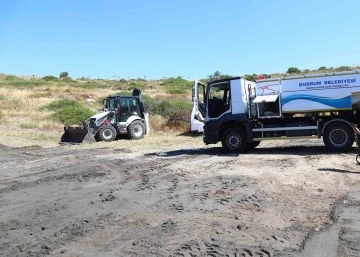 Belediyeden plajlarda temizlik ve düzenleme çalışması
