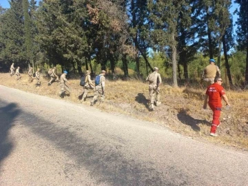 Berzeg için ormanlar karış karış aranıyor
