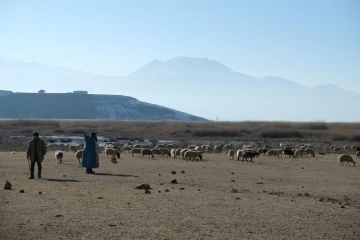 Besiciler meraları kiralayabilmek için kıyasıya yarıştı
