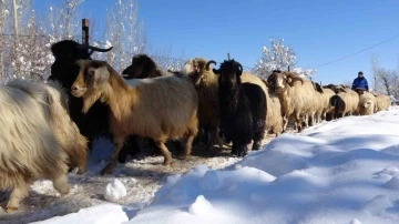 Besicilerin zorlu kış mesaisi başladı
