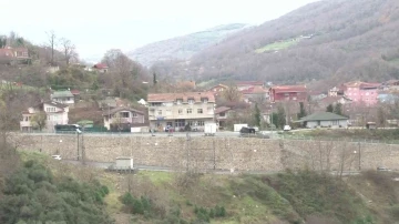 Beykoz’da aç kalan domuzlar yerleşim yerlerine indi
