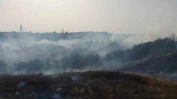 Beykoz’da çıkan orman yangını havadan görüntülendi
