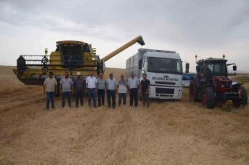 Beylikova Belediyesi hububat hasadına başladı
