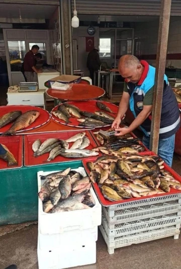 Beyşehir’de balık boy denetimleri
