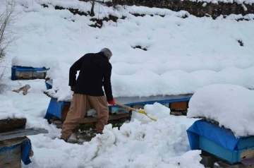 Beytüşşebap’ta arıcılar arılarını kardan korumaya çalışıyor
