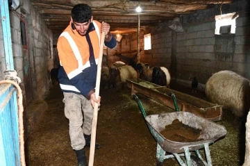 Beytüşşebap’ta besicilerin zorlu kış mesaisi sürüyor
