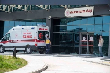 Bilecik’te bayram boyunca 96 acemi kasap yaralandı
