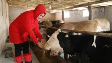 Bileziklerini satarak hayvancılığa başlayan girişimci kadın taleplere yetişemiyor