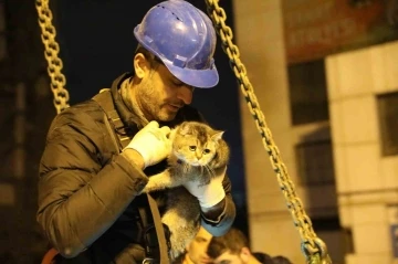 Bina enkazının yıkımı durduruldu, &quot;Zena&quot; isimli kedi kurtarıldı