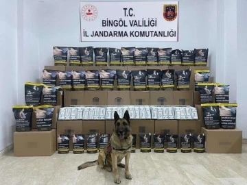 Bingöl’de 76 kilo kaçak tütün ele geçirildi: 1 gözaltı
