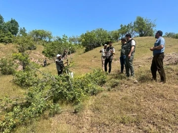 Bingöl’de aşılama çalışması yapıldı
