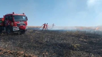 Bingöl’de yaklaşık 100 dönümlük tarım alanı yandı
