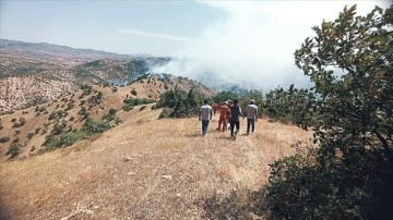 Bingöl'de ormanlık alanda çıkan yangına müdahale sürüyor