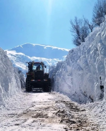 Bitlis’te karla mücadele çalışmaları