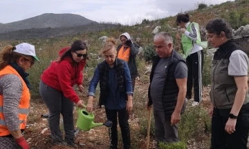 Bodrum’da 10 bin fidan toprakla buluştu
