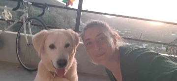 Bodrum’da kedi ve köpek katliamı
