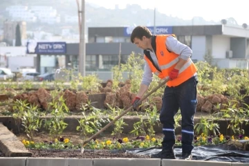 Bodrum’da peyzaj çalışmaları devam ediyor
