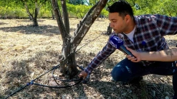 Bodrum’da tarımsal üretimde su tasarrufu
