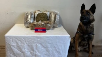 Bolu’da 5 kilo uyuşturucuyu narkotik köpeği &quot;Bıçak&quot; yakaladı: 5 gözaltı