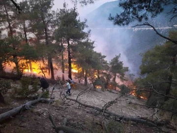 Bolu’da ormana düşen yıldırım yangın çıkardı