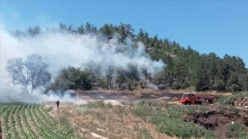 Bolu'da çıkan orman yangınına ekiplerce müdahale ediliyor