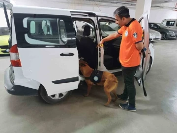 Bomba arama köpeği ‘Niobe’ göreve hazır
