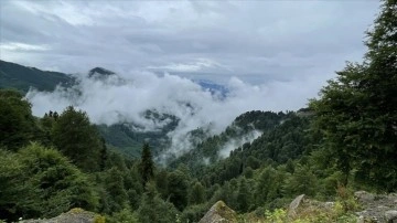 Borçka Karagöl Tabiat Parkı'nı bayramda 30 bin kişi ziyaret etti