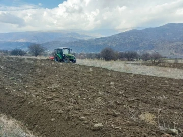 Boş tarım arazileri siyez buğdayı ile buluşuyor
