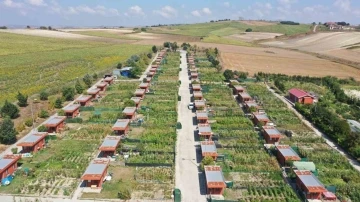 Bostan Gülistan Hobi Bahçesi’nde ilk fideler toprağa ekildi
