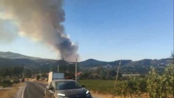 Bozdoğan’daki orman yangını için Muğla sınırında önlem alındı
